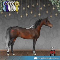 Horse Color:Brown Tobiano Rabicano