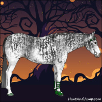Horse Color:Gray White Spotted Black and Gray White Spotted Black Tobiano