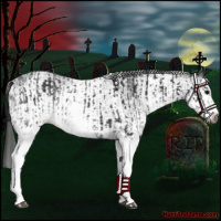 Horse Color:Gray White Spotted Black  and Gray White Spotted Black Splash 