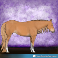Horse Color:Chestnut Tobiano Rabicano 