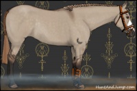 Horse Color:Liver Red Dun Roan Rabicano 