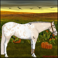 Horse Color:Silver Classic Champagne Roan Dun Splash Tobiano Frame Blanket Rabicano 
