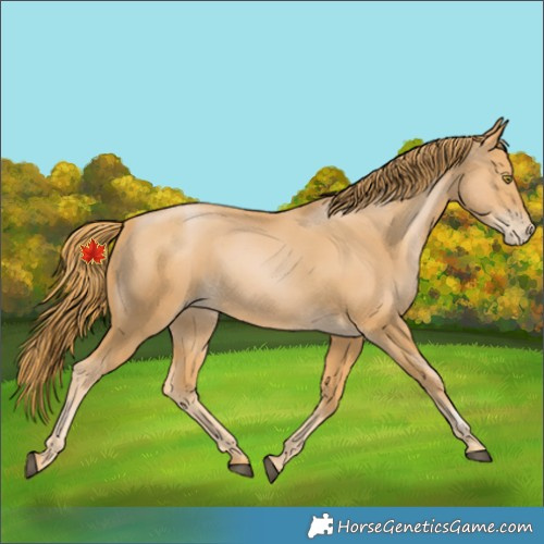 Horse Color:Chestnut Pearl 