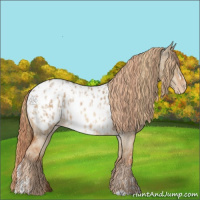 Horse Color:Red Dun Appaloosa  and Red Dun Roan Appaloosa 