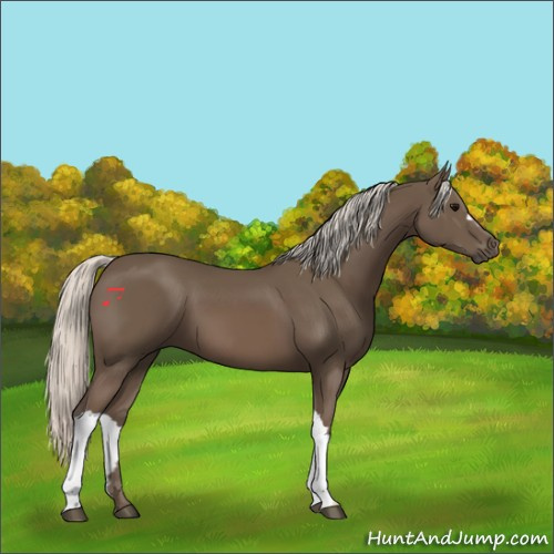 Horse Color:Silver Black 
