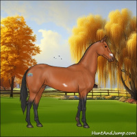 Horse Color:Bay Frame