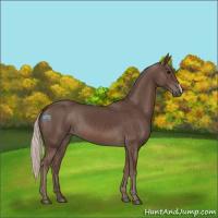 Horse Color:Silver Black 