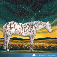 Horse Color:Bay Near Leopard  and Bay Near Leopard 
