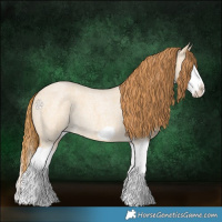 Horse Color:Red Dun Roan Splash Frame Rabicano 