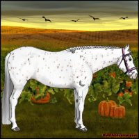 Horse Color:Bay Leopard  and Bay Fewspot 