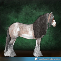 Horse Color:White Spotted Brown Roan Frame 