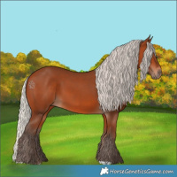 Horse Color:Silver Bay 