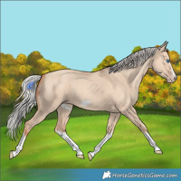 Horse Color:Silver Classic Champagne Dun Splash Frame 