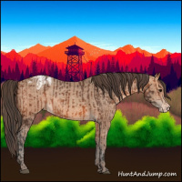 Horse Color:Bay Varnish  and Amber Champagne Varnish 