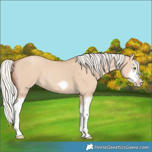 Horse Color:Silver Classic Champagne Dun Splash Frame 