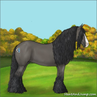 Horse Color:Grullo Splash 
