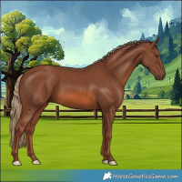Horse Color:Chestnut 