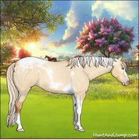 Horse Color:Gray Silver Amber Cream Champagne Roan Dun Splash Tobiano Frame Appaloosa Rabicano 