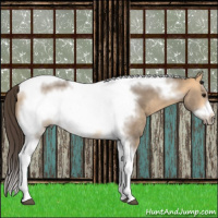 Horse Color:Buckskin Dun Splash Tobiano Frame 