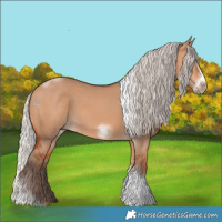 Horse Color:Silver Bay Dun Sabino Tobiano Frame Rabicano 