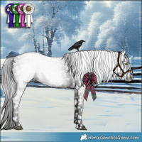 Horse Color:Gray Brown Snowflake Varnish 