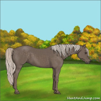 Horse Color:Silver Black 