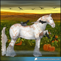Horse Color:White Spotted Silver Bay Pearl Onyx Sabino  and White Spotted Bay Pearl Onyx Sabino 