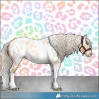 Horse Color:Gray Silver Amber Cream Champagne Roan Dun Splash Tobiano Frame Appaloosa Rabicano