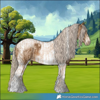 Horse Color:Chocolate Palomino Pearl Tobiano Frame  and Chocolate Palomino Tobiano Frame 