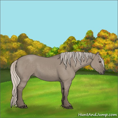 Horse Color:Silver Grullo 
