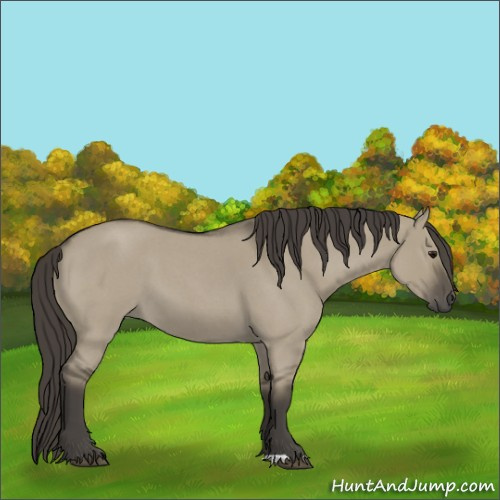 Horse Color:Smoky Grullo Roan 