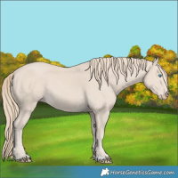 Horse Color:Smoky Creme 