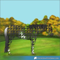 Horse Color:White Spotted Black 