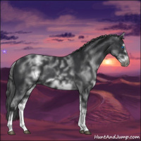 Horse Color:White Spotted Black Sabino Frame