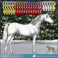 Horse Color:Silver Bay Pearl Dun Splash Appaloosa 