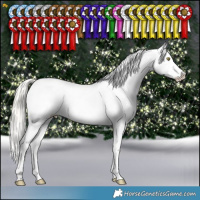 Horse Color:Silver Bay Pearl Dun Splash Appaloosa 