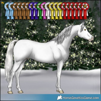 Horse Color:Silver Bay Pearl Dun Splash Appaloosa
