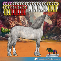 Horse Color:Silver Smoky Blue Ice Roan 