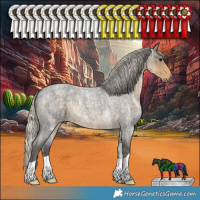 Horse Color:Silver Smoky Blue Ice Roan 