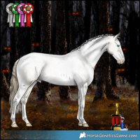 Horse Color:White Spotted Buckskin Pearl Dun Tobiano Appaloosa Rabicano
