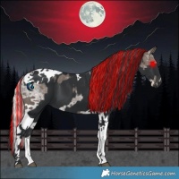 Horse Color:Painted White Spotted Silver Black Splash  and Black Tobiano 