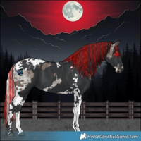 Horse Color:Painted White Spotted Silver Black Splash and Black Tobiano
