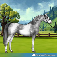 Horse Color:White Spotted Black Sabino Frame 