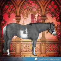 Horse Color:White Spotted Black Sabino Frame 