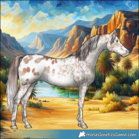 Horse Color:Chocolate Sable Champagne Appaloosa 