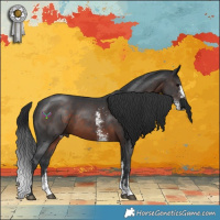 Horse Color:Brown Sabino
