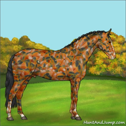 Horse Color:Black Splash Tobiano 