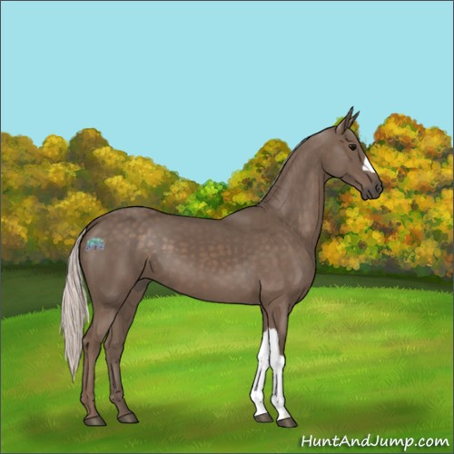 Horse Color:Silver Black 