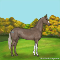 Horse Color:Silver Black 
