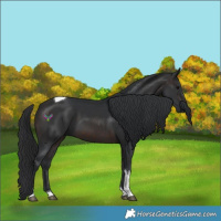 Horse Color:Brown Tobiano 